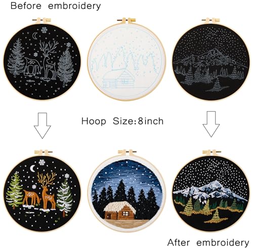 Armindou Embroidery Kit for Beginner Adults, Counted Stamped Cross Stitch kit for Adult Beginner, Hand Embroidery Starter Kits with Pattern, 3