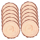 BESPORTBLE 12pcs Bark Coasters Wood Coasters with Bark Succulent Pot Holder Wood Disc Coasters Unfinished Wood Slices Table Cup Base Cork Base Under BESPORTBLE