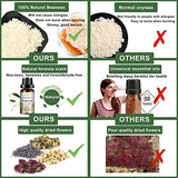 Complete Candle Making Kit with Wax Melter, Making Supplies,DIY Arts&Crafts Gift for Kids,Beginners,Adults,Including 500w Electronic Stove,Wicks,Rich Haccah