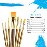 Princeton Real Value, Series 9100, Paint Brush Sets for Acrylic, Oil & Watercolor Painting, Syn-Gold Taklon (Rnd 2, 4, Liner 2/0, Shader 2, 6, PRINCETON ARTIST BRUSH CO.