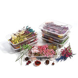 AGCFABS 1 Box Random Real Dried Flower Resin Mold Fillings UV Expoxy Flower for Epoxy Resin Molds Jewelry Making Craft DIY Accessories (Random) AGCFABS