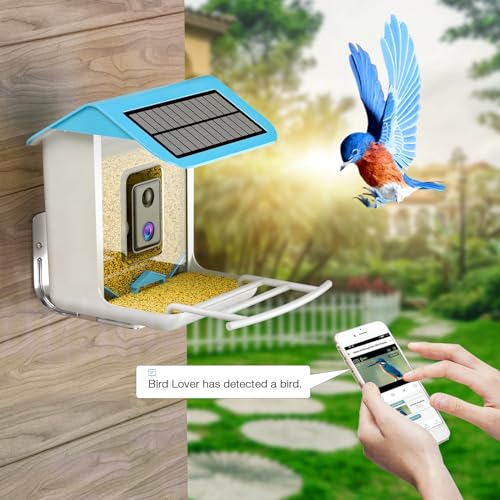 isYoung Smart Bird Feeder with Camera, Free AI Forever, Identify Bird Species, Wireless Connection Bird Camera with Solar Panel, Auto Capture & - WoodArtSupply