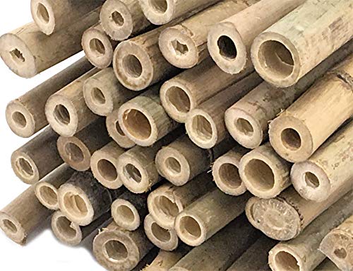 FOREVER BAMBOO BAMA-BP11 Bamboo Garden Stakes Plant Support, 3/8" D x 4' H, Natural - WoodArtSupply