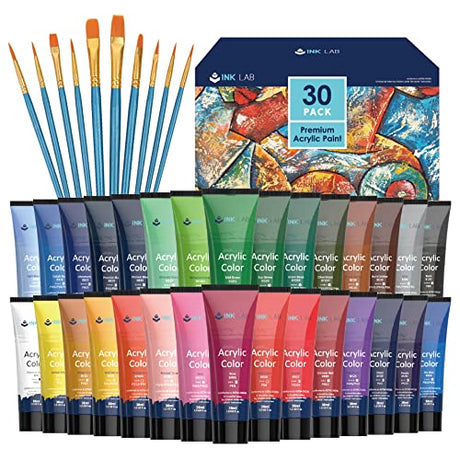 Acrylic Paint Set 30 Colors Craft Paints in Tubes with 10 Art Brushes Rich Pigment for Artists Beginners Kids Painting on Canvas Wood Fabric Crafts, INK LAB