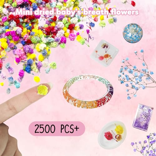 3000 PCS Bulk Small Mini Dried Flowers for Resin Crafts, Tiny Real Dried Baby's Breath Gypsophila Flowers for Resin Supplies-Candle Making, Soap - WoodArtSupply