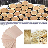 Unfinished Wood Pieces,18 Pack Basswood Sheets 1/16 Thin Plywood Wood Sheets for Crafts,Perfect for Architectural Models, Wooden DIY Ornaments, Cassny