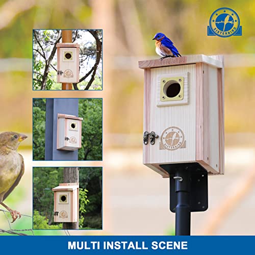 SISTERBIRD Bird Houses for Outside Clearance with Copper Guard, Cedar Bird House Outdoor, Bluebird Finch Swallow Wren Chickadee - WoodArtSupply