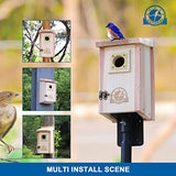 SISTERBIRD Bird Houses for Outside Clearance with Copper Guard, Cedar Bird House Outdoor, Bluebird Finch Swallow Wren Chickadee SISTERBIRD