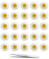 60Pcs White Dried Daisy Pressed Flowers - YouthBro 60Pcs Real Nature Flowers Set for Resin DIY Jewelry Candle Soap Vase Making Nail Card Scrapbook YouthBro