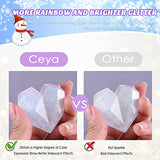 Ceya Ultra Fine Glitter Powder, 3.5oz/ 100g Iridescent White Craft Glitter Powder 1/128” 0.008” 0.2mm Nail Glitter for Epoxy Resin DIY Craft Tumblers ceya
