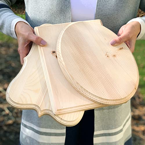 ArtSkills Wood Plaques for Crafts, Unfinished Assorted Wooden Shapes for Wood Burning, Staining, Painting, Create Custom Wooden Signs, 9" x 12", 3ct ArtSkills