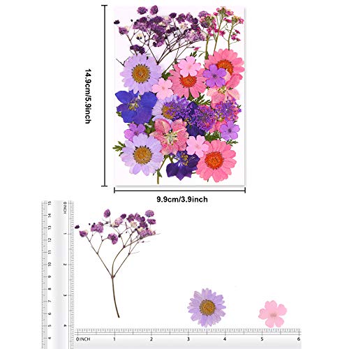 Dried Flowers for Resin Natural Dried Pressed Flowers for DIY Jewelry Molds, Art Crafts Scrapbooking, Candle, Soap Making, Nails Décor Augshy