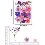 Dried Flowers for Resin Natural Dried Pressed Flowers for DIY Jewelry Molds, Art Crafts Scrapbooking, Candle, Soap Making, Nails Décor Augshy