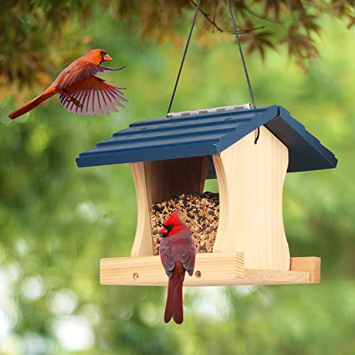 Alaskan Western Red Cedar Ranch DIY Bird Feeder Kit for Kids to Build - Wood Birdhouse Building Kits with Hanging Rope, Paints and Brushes. Longtime