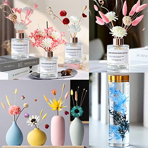 Vignee Real Dried Pressed Leaf Flowers-Multiple Colorful Pressed Flowers Daisies for Craft Resin Jewelry Making Art Craft DIY（Violet） Vignee