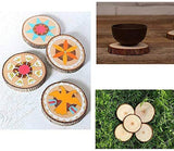 Unfinished Natural Wood Slices 30 Pcs 3.5-4 inch Craft Wood kit Circles Crafts Christmas Ornaments DIY Crafts with Bark for Crafts Rustic Wedding William Craft