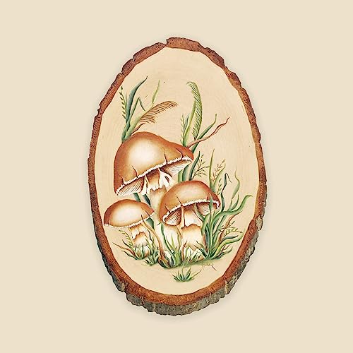 Walnut Hollow Basswood Round, Small 5-7" Wide with Live Edge Wood (Pack of 6) - for Wood Burning, Home Décor, and Rustic Weddings - WoodArtSupply