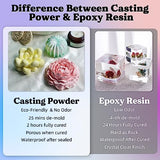 LET'S RESIN Resin Casting Powders 3000g, Fast Cured Casting Resin Kit for Beginners,20~30 Minutes De-Mold, Water Activated Plaster Powder Casting Kit LET'S RESIN