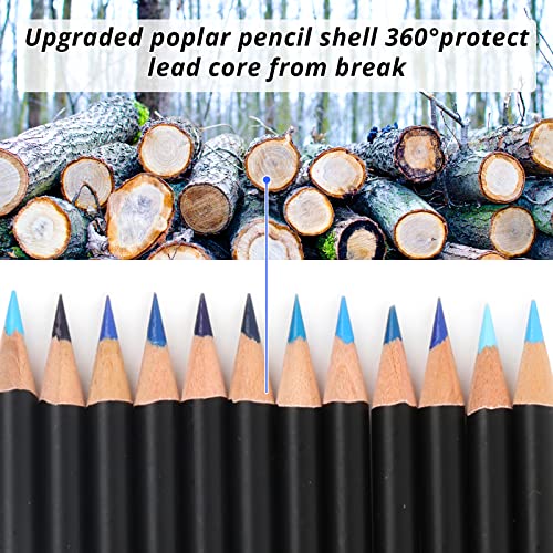 HTVRONT Colored Pencils - 72PCS Colored Pencils for Adult Coloring, No –  WoodArtSupply