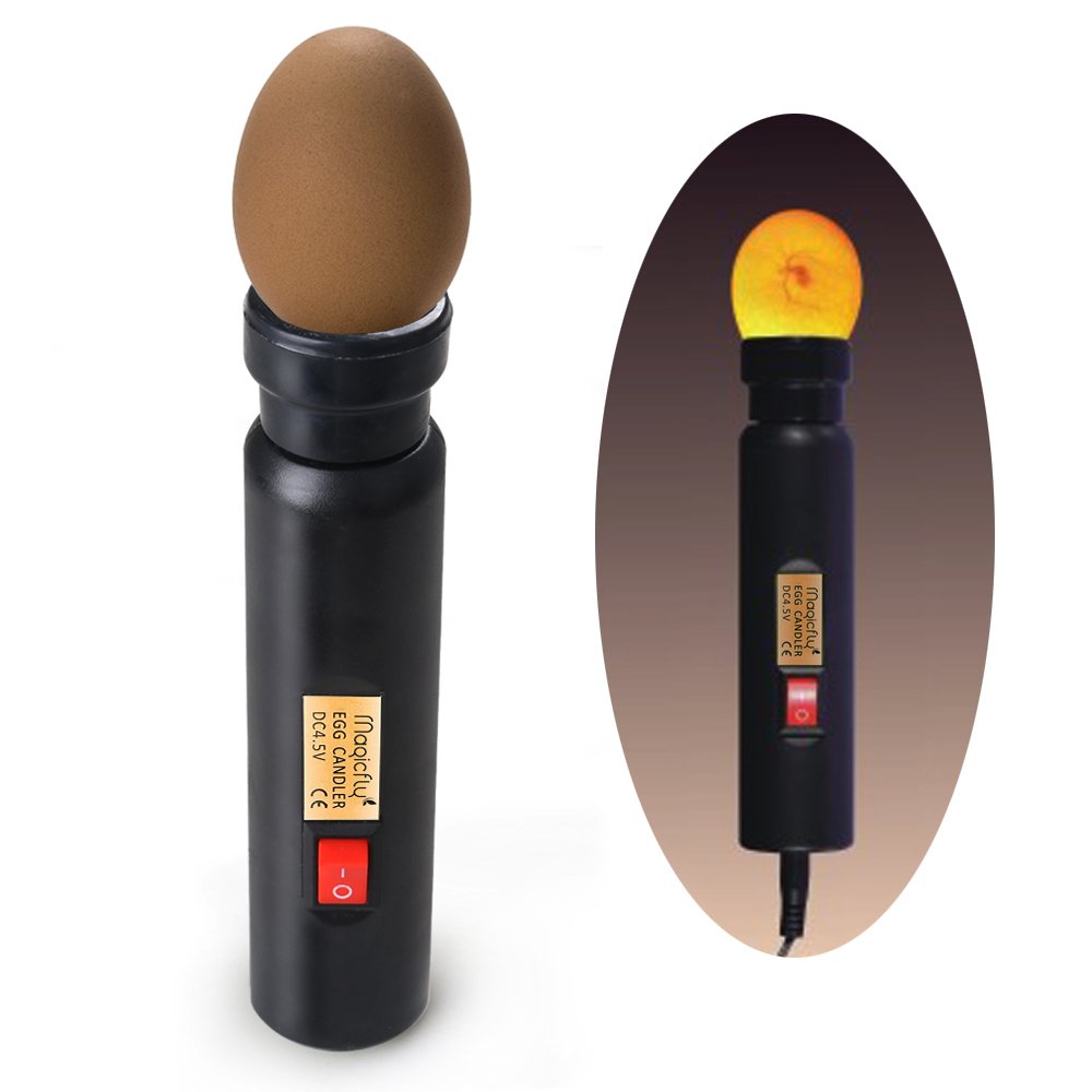 Magicfly Bright Cool LED Light Egg Candler Tester, Power by Power Supply Only - WoodArtSupply