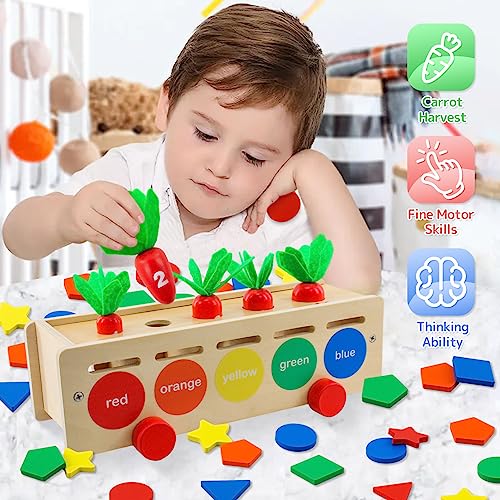 Ganaj Montessori Toys Wooden Color Shape Sorting Box, Wooden
