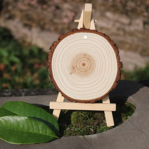 Natural Wood Slices Paint Set Supplies – 10 Pcs 3.5-4 inch Wood Rounds Acrylic Painting Kit, 2 Brushes, Palette - WoodArtSupply