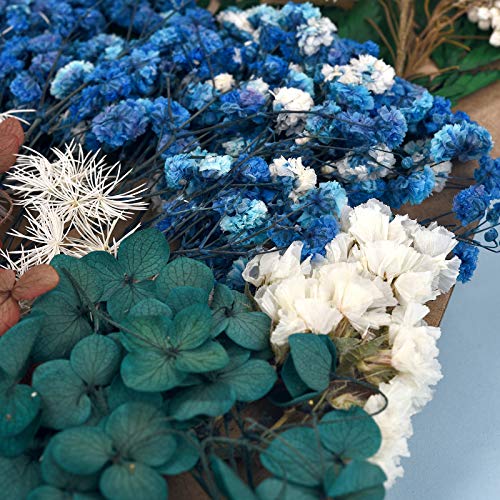 Dried Pressed Flowers for Soap Candle Making and Resin Jewelry Making Pressed Flower (Purple Blue Set) DALARAN