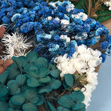 Dried Pressed Flowers for Soap Candle Making and Resin Jewelry Making Pressed Flower (Purple Blue Set) DALARAN