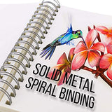 U.S. Art Supply 8" x 10" Top Spiral Bound Sketch Book Pad, Pack of 2, 100 Sheets Each, 60lb (100gsm) - Artist Sketching Drawing Pad, Acid-Free - U.S. Art Supply