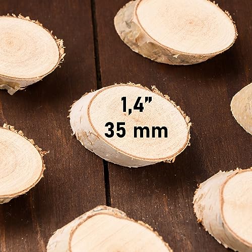 Wooden Slices 10 Pcs Kit for Arts DIY Crafts Home Decor- Circle and Oval Shapes of Unfinished Wood Discs Blank Cutouts