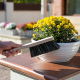 11.2" Hand Broom Soft Bristles Cleaning Brush, Dusting Brush with Wooden Handle, Handheld Car Broom, Small Counter Dust Brush, Bench Brush, Clothes Harrison Greys