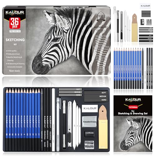 KALOUR Drawing Sketching Pencil Set,36 Pro Art Pencil Kit,12 Graphite Pencils (8B-5H),Black & White Charcoal Pencils,Charcoal Sticks, Stumps, Eraser,