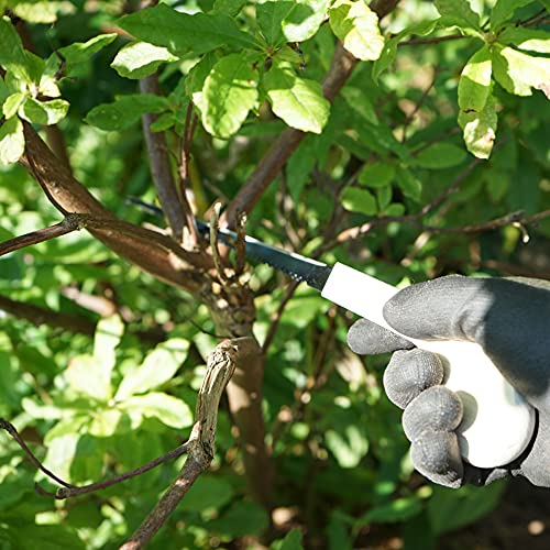 RANSHOU Japanese Keyhole Hand Saw Long 7-7/8" Made in JAPAN, Kataba Single-Edge Pull Saw for Wood, Plywood, Drywall, Sheetrock, Gypsum Board, RANSHOU