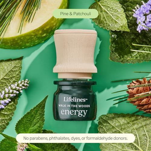 Lifelines Scent-Infused Meditative Fidget Stones 2-Pack & Essential Oil Set, Portable Essential Oil Diffuser with Individual Walk in The Woods: Lifelines