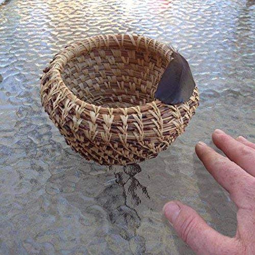 Traditional Craft Kits Coil Basket Kit - Pine Needle - Basket Weaving Kit Set with Supplies, Complete with Instructional Booklets and Basket Making Traditional Craft Kits