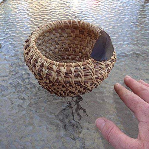 Traditional Craft Kits Coil Basket Kit - Pine Needle - Basket Weaving Kit Set with Supplies, Complete with Instructional Booklets and Basket Making