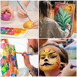 ESRICH Acrylic Paint Brushes Set,8Packs /80 Pcs, Nylon Brush Head, Suitable for Acrylic, Oil, Watercolor,Rock Body Face Nail Art,Perfect Suit of Art ESRICH