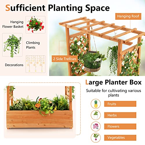 S AFSTAR Raised Garden Bed with Arch Trellis, Wood Planter Box with Hanging Roof, Side Trellis, 4 Drainage Holes, Above Ground Elevated Garden Bed S AFSTAR