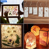 Worown 5 Size Wooden Paper Making Screen, Paper Making Mold, Wooden Paper Making Frame for DIY Paper Crafts Worown