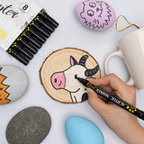 Tesquio Black Paint Marker, 8 Pack Dual Tip Acrylic Paint Pens, Ideal for Wood, Rock Painting, Canvas, Stone, Glass, Ceramic Tesquio