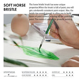 ARTIFY 41 Pieces Long Handle Paint Brushes, Expert Series, Hog Bristle, Horse Hair and Nylon Hairs Art Set Includes a Carrying Canvas Roll, for ARTIFY art supplies