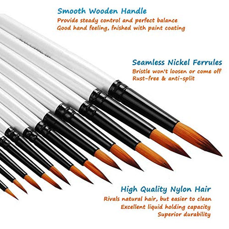 Acrylic Paint Brushes Set, 12pcs Professional Round-Pointed Tip Artist Paintbrushes for Acrylic Watercolor Oil Painting, Face Body Nail Art, Crafts, Auhoahsil