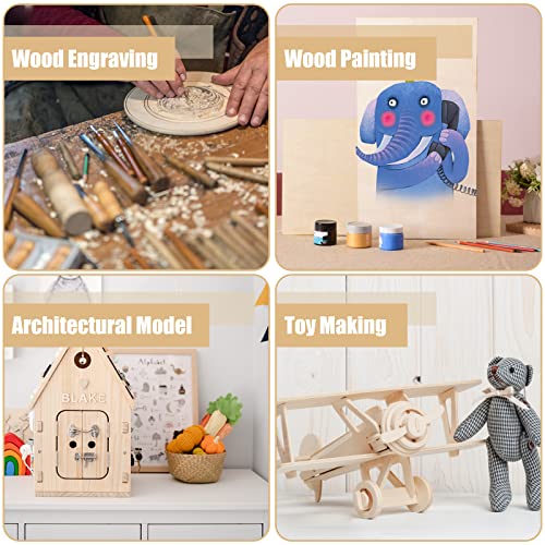 12 Pack 22 x 12 x 1/16 Inch-2 mm Thick Basswood Sheets for Crafts Unfinished Plywood Sheet Rectangular Craft Wood Sheet Boards for DIY Projects, AWIZOM