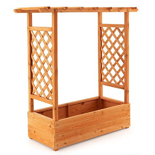 S AFSTAR Raised Garden Bed with Arch Trellis, Wood Planter Box with Hanging Roof, Side Trellis, 4 Drainage Holes, Above Ground Elevated Garden Bed - WoodArtSupply