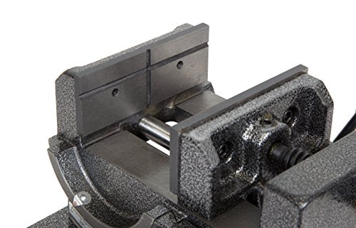 WEN Tilting Vise, 4.25-Inch for Benchtops and Drill Presses WEN