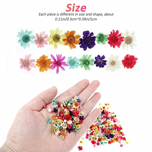 710pcs DIY Dried Flowers Scattered Aromatherapy Candle Epoxy Resin Pendant TEAMWILL