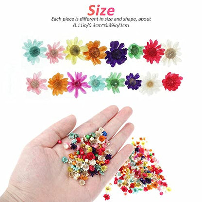 710pcs DIY Dried Flowers Scattered Aromatherapy Candle Epoxy Resin Pendant - WoodArtSupply