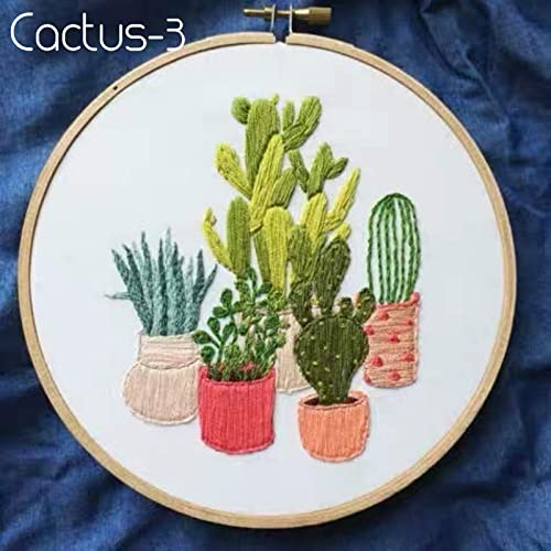 Highkick Embroidery Starter Kits for Adults Beginners with Stamped Pattern, Embroidery Floss + Needles + Hoop, Cactus Series, 3 Pack - WoodArtSupply