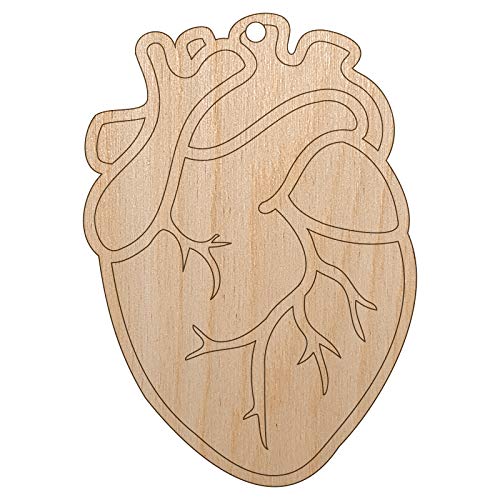 Realistic Human Heart Unfinished Craft Wood Holiday Christmas Tree DIY Pre-Drilled Ornament - WoodArtSupply