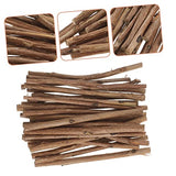 PACKOVE 100pcs Popsicle Sticks Log Sticks Wood Crafts Photo Props Natural Twigs Sticks Driftwood DIY Crafts Crafting Sticks Wood Twigs Embellishments PACKOVE